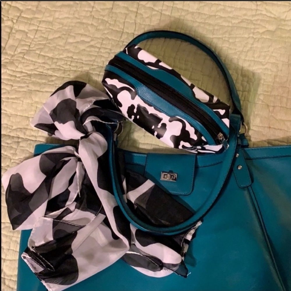 3/$42 Handbag & Accessories Bag with scarf